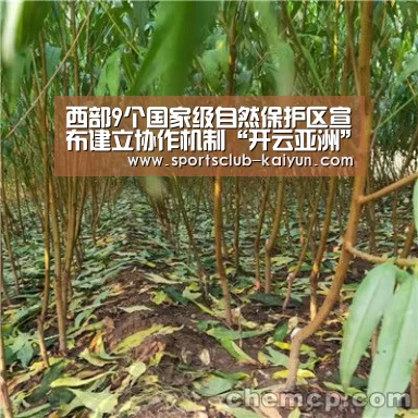 西部9个国家级自然保护区宣布建立协作机制“开云亚洲”(图3) 开云亚洲