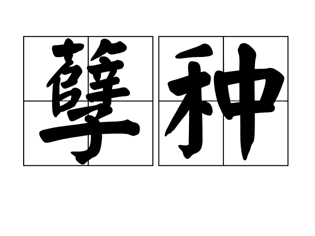 开云入口
