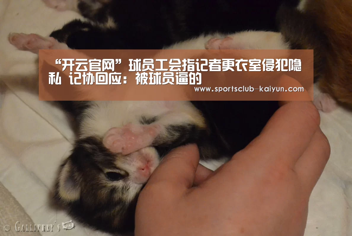 开云入口