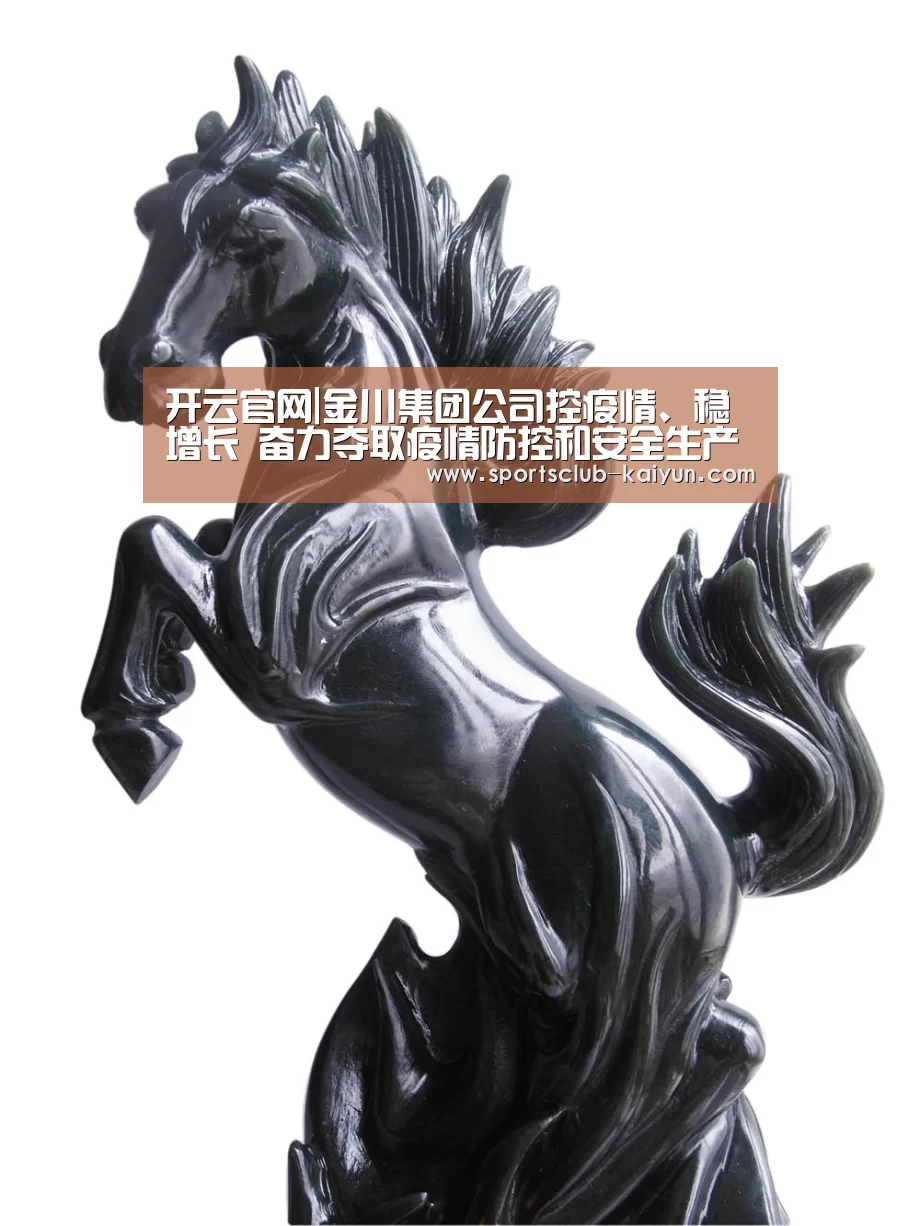 开云官网|金川集团公司控疫情、稳增长 奋力夺取疫情防控和安全生产“双胜利”(图4) 开云亚洲