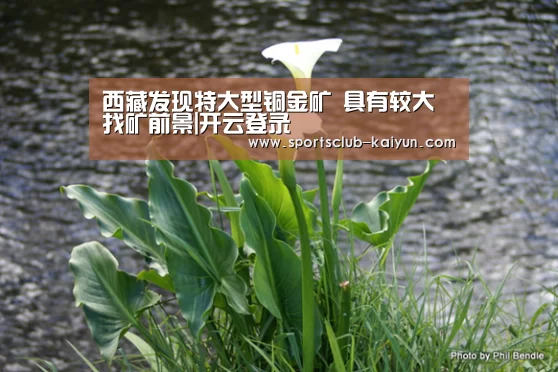 开云官网